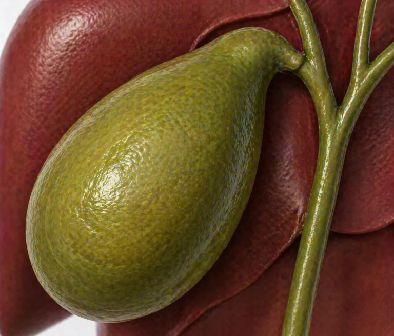 Ilustratie medicala colecist marit si dilatat fara elemente grafice suplimentare